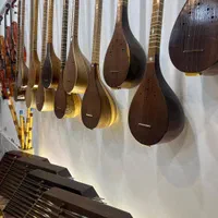 سه تار حرفه ای همراه آموزش