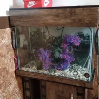 اکواریوم با میز و تجهیزات کامل