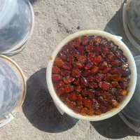 خرما کبکاب و خاصی بهبهان