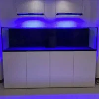 ساخت اکواریوم های ریملس اب شور و شیرین