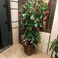 درختچه مصنوعی