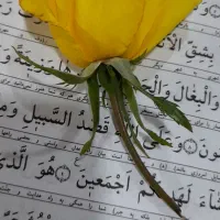 ختم قرآن کریم|کتاب و مجله مذهبی|مراغه, |دیوار