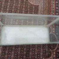 اکواریوم .|ماهی|مرند, |دیوار