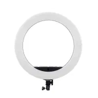 رینگ لایت|دوربین عکاسی و فیلمبرداری|گنبد کاووس, |دیوار