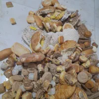 نان خشک سالم|عمدهفروشی|سنگر, |دیوار