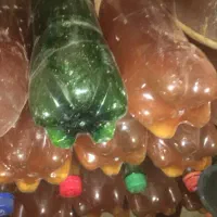 ابغوره|خوردنی و آشامیدنی|یاسوج, |دیوار