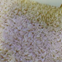 عنبربو شیروان چرداول|خوردنی و آشامیدنی|کرمانشاه, |دیوار
