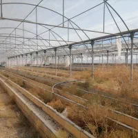 گلخانه هیدرو پونیک اسپانیایی تمام گالوانیزه