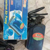 لوازم آکواریوم|ماهی|مشهد, رده|دیوار