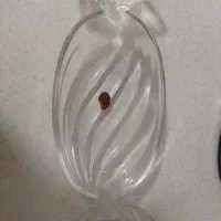 ظروف در حد نو