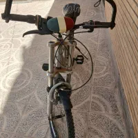 سایز۲۰سالم و تمیز با بوق چراغ پلیسی|دوچرخه، اسکیت، اسکوتر|اصفهان, ملکشهر|دیوار