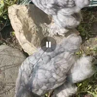 برهما بلو وبلو لایت اصل و بلک