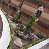 خدمات کلیه باغبانی باغچه کاری هرسکاری گلکاری کاشت