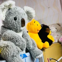 خشکشویی انلاین کلاسیک|خدمات نظافت|سبزوار, امیر کبیر|دیوار