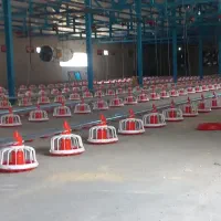 فروش آبخوری و دانخوری گوشتی|لوازم جانبی حیوانات|آمل, |دیوار