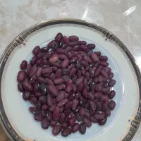 لوبیا قرمز بذر یاقوت بوجاری شده