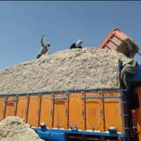 کاه سفال  تفاله ،  کاه نیشکر باگاس امسالی فله ای|لوازم جانبی حیوانات|شیراز, جمهوری|دیوار