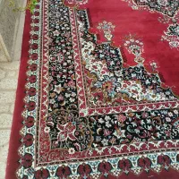 فرش ۱۲ متری|فرش|قم, امامزاده ابراهیم|دیوار