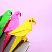 کاردستی طوطی اوریگامی