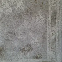 فرش ۱۲۰۰ کرم نسکافهای|فرش|همدان, |دیوار