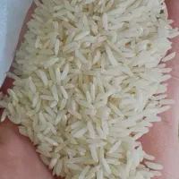 تولیدوفروش‌انواع‌برنج‌ های ‌معطراستان‌گیلان‌شهرشفت|خوردنی و آشامیدنی|شفت, |دیوار