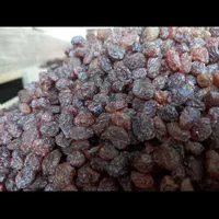 شیره انگور و کشمش(آبگیری)|خوردنی و آشامیدنی|لاهیجان, شیخ زاهد|دیوار