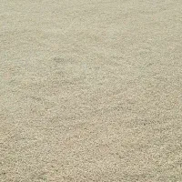 چلتوک هاشمی وفجر