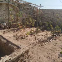 خونه باغ نیم ساخته پشت پارک زیتون..|فروش خانه و ویلا|آران و بیدگل, |دیوار
