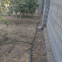 باغچه|فروش زمین و ملک کلنگی|شیراز, بازار|دیوار