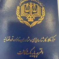 وکیل پایه یک دادگستری -متخصص دعاوی خانواده و کیفری