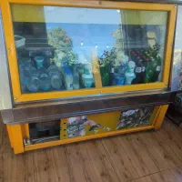 یخچال ویترینی|یخچال و فریزر|شاهرود, |دیوار