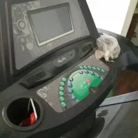 تردمیل فلکسی فیت