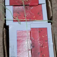 میوه خوری|ظروف سرو و پذیرایی|یزد, |دیوار