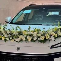 گل آرایی حرفه ای برای هر مراسمی|گل و گیاه طبیعی|شاهین‌شهر, مخابرات (شهید بهشتی)|دیوار