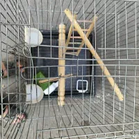 قفس طوطی سانان و غیره