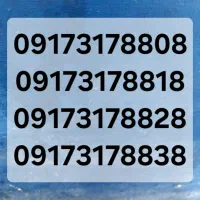۰۹۱۷۳۱۷۸۸۰۸