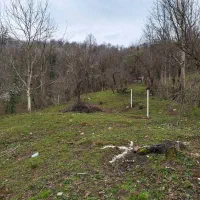 زمین مسکونی با پروانه در دل جنگل|فروش زمین و ملک کلنگی|سیاهکل, |دیوار