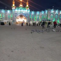 کد صفر رندو کد۵