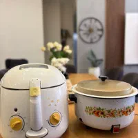 یک دستگاه سرخ کن ویک آرام پز