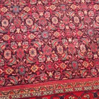 فرش دستباف|فرش|سنندج, |دیوار