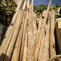 تیر سقفی صاف درهر اندازه