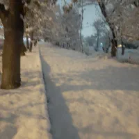 راهنمایی کنید