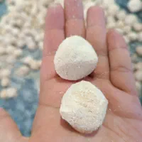 محصولات لبنی