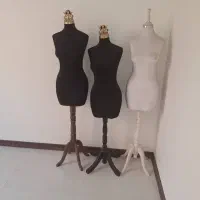 سه تا مانکن سایز ۳۶ و۳۸در نو وکم کار کرد