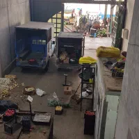 فروش 6دانگ.حجره تره بارتهران فاز 2 سالن 10 پلاک 27|فروش مغازه و غرفه|تهران, میدان میوه و تره‌بار مرکزی|دیوار