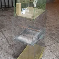 قفس پرنده