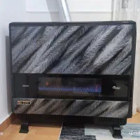 بخاری ۱۲ هزار ایران شرق