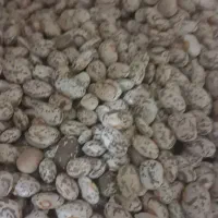 لوبیا ارتشی|خوردنی و آشامیدنی|اهواز, شهدای انتظامی|دیوار