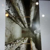 اجاره وفروش تجهیزات سالن قارچ