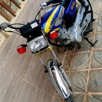 مزایده ۱۲۵ عروسک